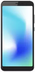 Hisense Small Dolphin 2